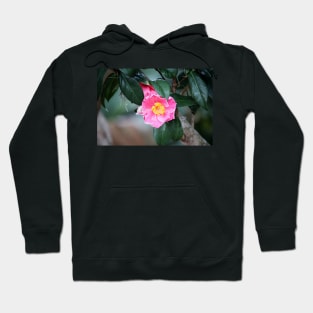 Pink Camellia Japonica Hoodie